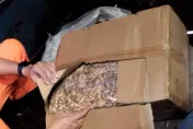 大陸漁船走私2.5噸香菇來台...金門海巡暗夜攔截　300萬全泡湯！