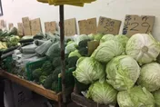 葉菜釋出庫存復耕上市　今交易均價略跌