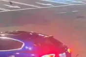 「海神貴婦」撞死文大生　家世遭起底！擁數輛超跑、老公曾是警友站長