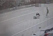 影/超扯！苗栗3惡煞設局行搶　他死命護百萬現金大街遭拖行