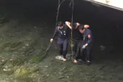 影/酒駕肇逃「玩命跳橋」！遭警消聯手揪出腳扭傷被法辦　再吞4罰單