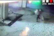 影/又傳未繫繩犬隻攻擊事件！60歲嬤為護愛孫遭惡狗撕咬「左手恐殘廢」