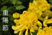 明天重陽節！快看「6大禁忌」　行房、回娘家攏毋湯
