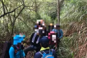 虎頭蜂最近很兇！水漾森林「2天3團22人遭螫」　登山4大點注意