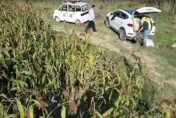 影/扯！執法人員開巡邏車帶人偷高粱　無人機拍下過程…官方辯稱阻掐穗被打臉