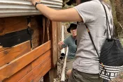 高屏黑熊活動範圍接近淺山！林業保育署籲：發現熊蹤務必立即通報