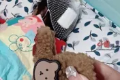 「鯊魚夾」慘變兇器！13歲少女廁所滑倒　頭皮遭劃破縫3針