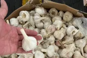 貨櫃「箱中箱」藏900萬蒜頭、香菇絲　父子檔走私大陸劣質農產品被逮