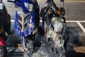 惹到鳥？2機車慘遭「鳥糞爆擊」　網笑：糞怒鳥喝到大冰奶