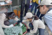 台南歸仁區爆2種型別登革熱！憂交叉感染　羅一鈞：下周起非熱區恢復PCR