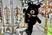 台北國際旅展優惠曝光！樂園住宿下殺3.6折　渡假村門票買1送1