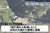 影/女子想拍野鹿卻不慎墜落40公尺橋下身亡　手機拍下墜橋前一刻照片
