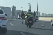影/鄭州街頭驚見「鴕鳥狂奔」！交警一路默默守護...網友調侃：上班趕打卡？