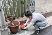 快訊/北市登革熱病例再+4　3人有「臺南市活動史」