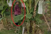 父親過世半年她至今後悔「沒好好告別」　Google竟見亡父身影「感覺在看我」