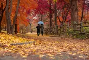 今「藥師佛聖誕」遇「日月並明格」　命理師曝15分鐘就可求健康