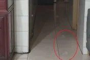 舅舅往生後靈異現象頻發　家人撒痱子粉現腳印淚喊：舅舅回來陪我們了