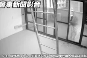 影/碰一下落地窗就碎！竹東蜘蛛盜闖屋偷錢　屋主：隔壁爬過來的