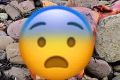 海邊度假散步驚見「橙色帶黑污漬屍體」　父子嚇壞：外星人來了