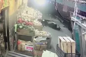 影/休旅車高速撞機車後逃逸　騎士連人帶車衝進路旁水果攤命危