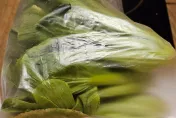 快訊/吃鍋季！火鍋料抽驗不合格！辛殿豆腐、MoMo Paradise青江菜、火鍋世家花生粉都上榜