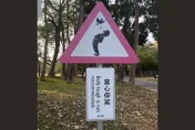 當心仰笑！路牌驚見「抬頭吃到鳥屎」　網笑翻：「屎料餵急」