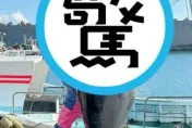 女優新作極品級鹹濕！「港口抱緊」135公斤巨物黑鮪魚