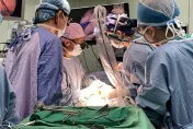超罕見！女童一出生竟「陰道、尿道、肛門」全相連　醫揭五千分之一機率