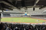 「大巨蛋首戰」中華隊vs韓國隊！中信卡友門票優先購　每場限量3千張