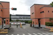 現役軍人涉虐貓影片瘋傳！憲指部回應了