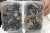 好市多盒裝蛤蜊驚見「菸屁股」　 北市衛生局：來源為嘉義廠商