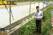 控賴清德包庇「法院認證毒爐渣廠商」！台南公共工程埋渣照樣驗收