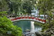 雲仙樂園「國寶級蕨類」成功繁殖！實現企業環保永續發展