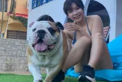 AV女優吳夢夢愛犬搭車「掉毛、流口水」　司機怒告「毀損罪」！