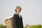 昔健康亮紅燈！趙露思公開「養生菜單」　嘆：吃得很痛苦
