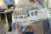 衰！好心送河豚卻害廚師中毒亡　基隆釣友可罰2億