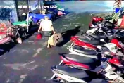 可惡！南投渣男虐女友3歲女兒餵毒亡「埋屍樹下」　更二審竟獲減刑