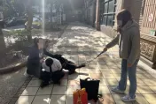 影/終結流浪！桃園婦投資遭誆300萬　警犬「妞妞」公園逮詐建功
