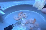 影/搞怪網紅飛機廁所煮大蒜蝦　網友驚呼：危險又噁心