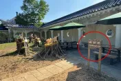 邰智源批評！中正紀念堂聽到了：「砍的是生病的樹」　今起全面禁菸