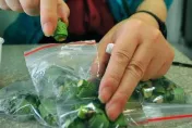彰化變態角頭囚虐小弟！熱熔膠燙鳥、檳榔塞肛門　犯後態度不佳重判8年6月
