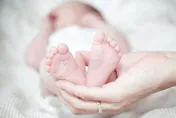 快訊/台中驚傳虐嬰！3個月大男北鼻「顱內出血」裝葉克膜命危　狠父收押