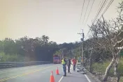 影/蛋洗台9線！白稠黃液佈滿整條馬路　駕駛揚長而去居民傻眼