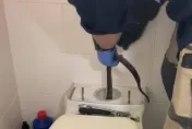 我的馬桶裡有蛇！ 水箱驚見「世界第二大毒蛇」嚇壞屋主