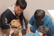 關鍵字都齊了！台南Josh「帶媽寶」找Amber　網友嗨翻：真男人