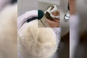 影/18歲嫩妹被老鼠咬手「反咬米奇頭」報仇　室友嚇壞：天靈蓋有兩牙印