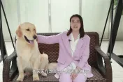 周海媚離世13天留破億別墅！　平安夜「大雪覆蓋一片荒涼」愛犬現況曝光