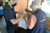 快訊/台中網紅美食抽查　1件「青辣椒農藥殘留」4件沒投保