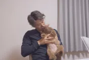 愛犬出風頭！不讓大谷翔平專美　山本由伸「小橘子」比萌