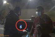 影/今年首匹攝狼！北市物流員大稻埕碼頭「針孔裝寶特瓶」 拍妹子如廁